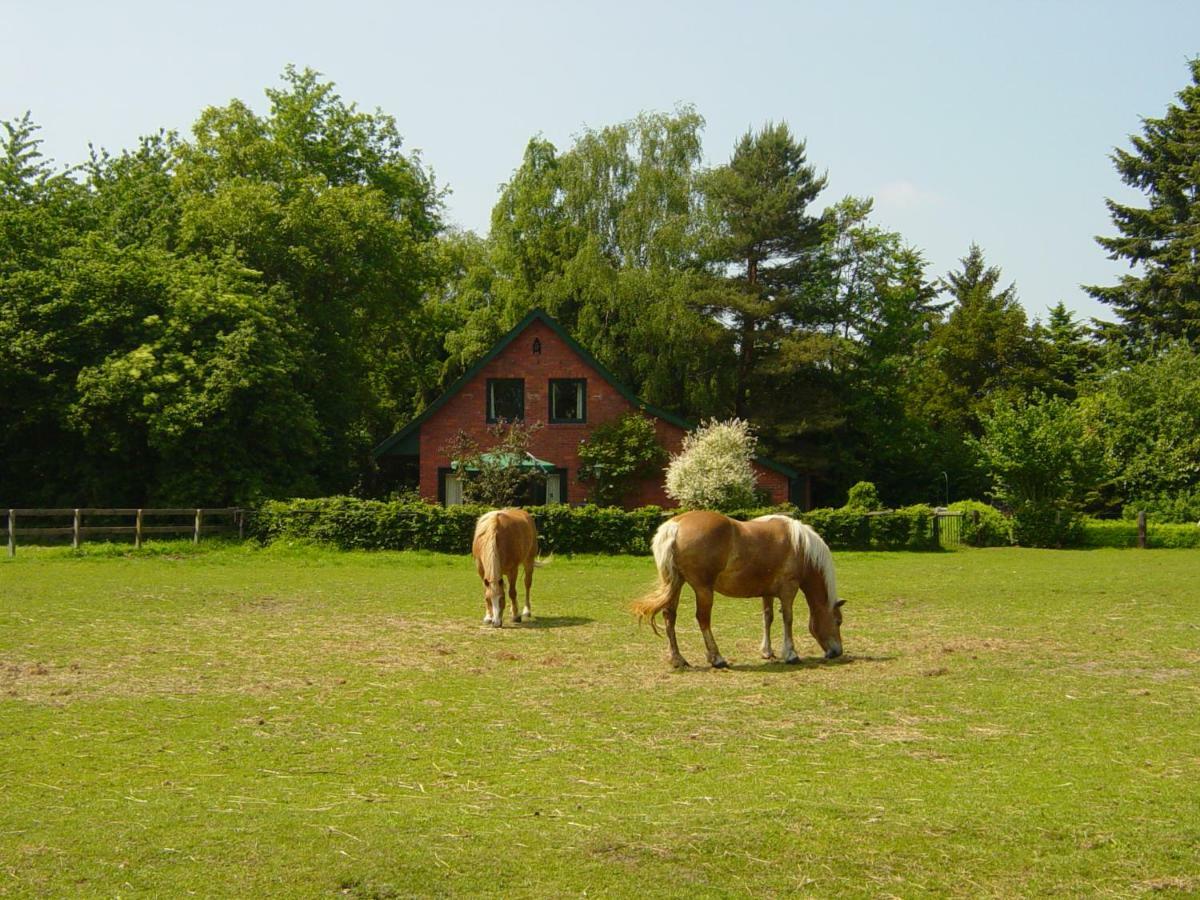 Bernard Meyborg Villa Lindern Exterior foto